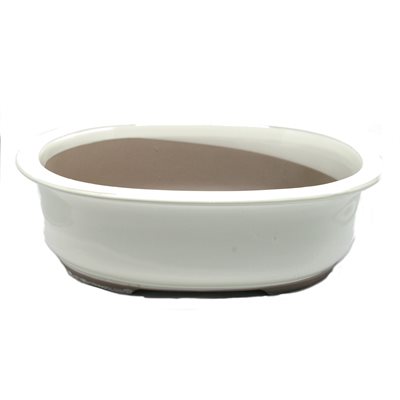 Bonsai Pot - Oval S13 / M16 / L18 /  .... cm