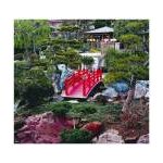 Carte - Jardin japonais Monaco